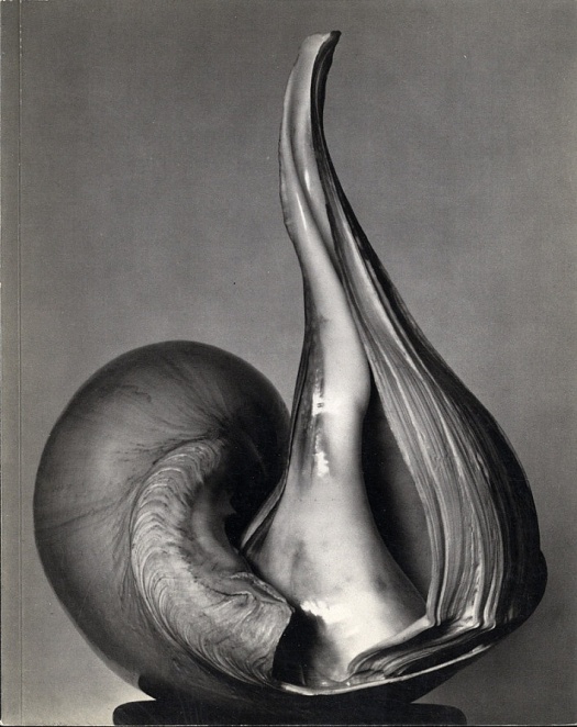 Edward Weston, Shells, 1927